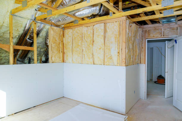 Best Residential Insulation in Rainbow Lakes Estates, FL