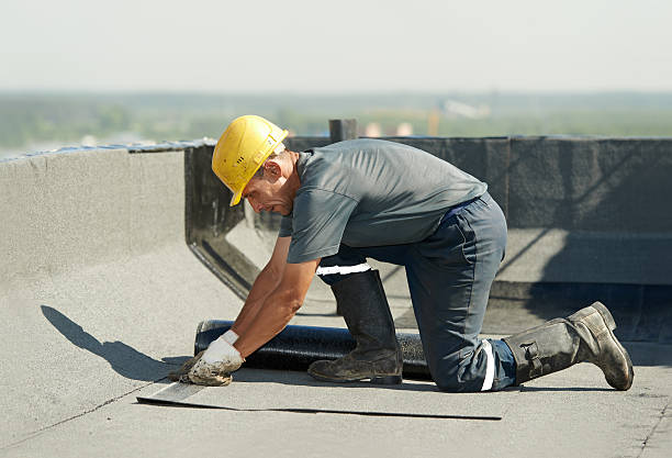 Best Specialized Insulation Services in Rainbow Lakes Estates, FL